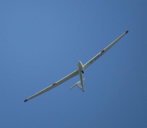 Glider-D-6547-04