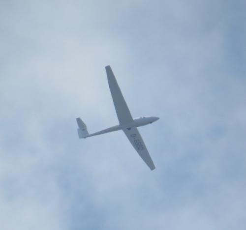 Glider-D-6552-02