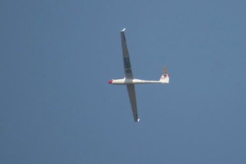 Glider-D-6603-01