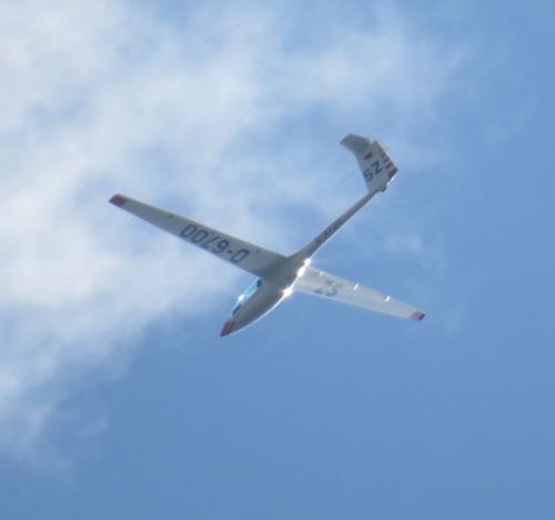 Glider-D-6700-03