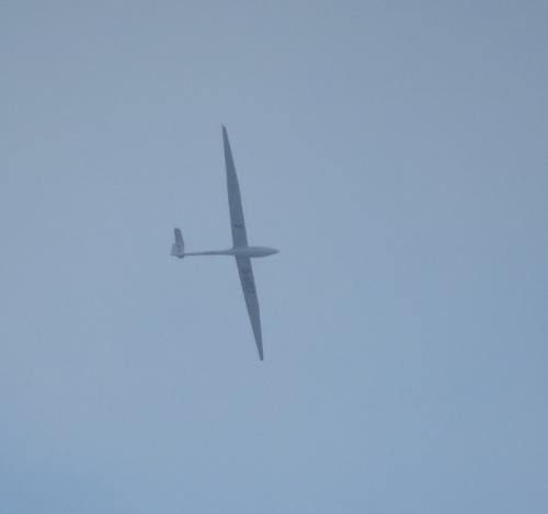 Glider-D-6727-01