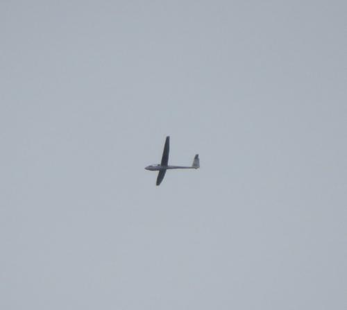 Glider-D-6942-01