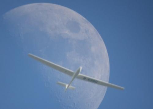 Glider-D-6980-01