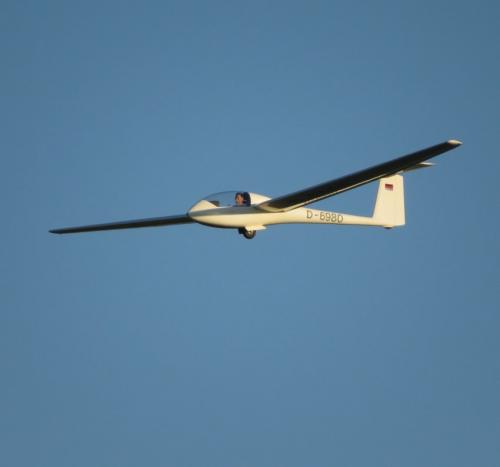 Glider-D-6980-07