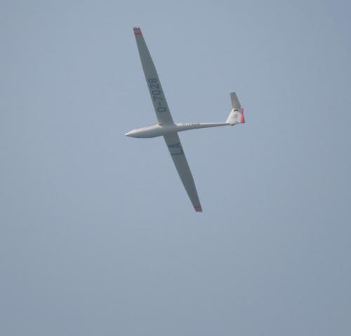 Glider-D-7028-04