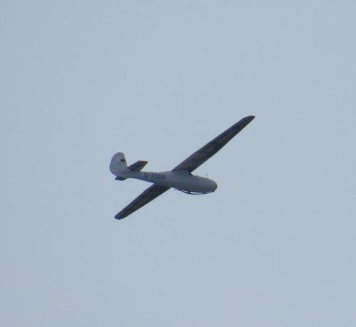 Glider-D-7059-03