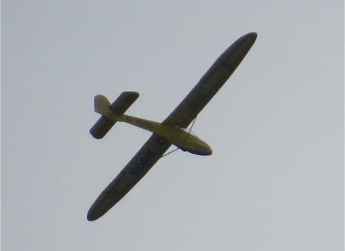 Glider-D-7095-01