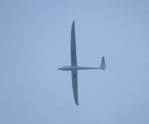 Glider-D-7101-01