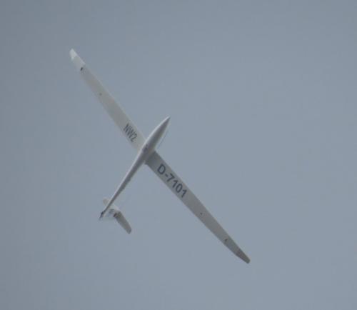 Glider-D-7101-03