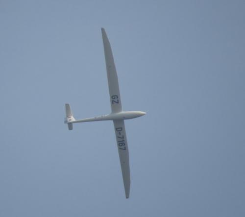 Glider-D-7167-01