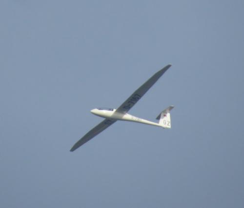 Glider-D-7167-02