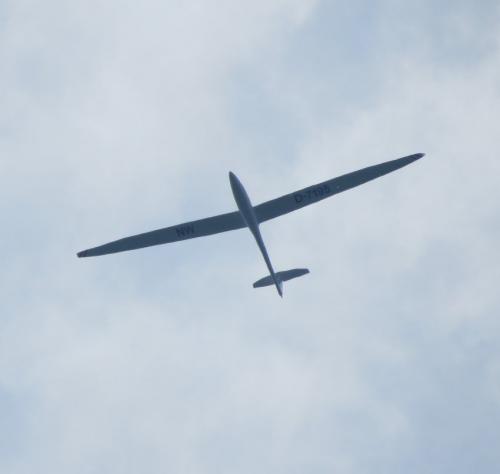 Glider-D-7195-01