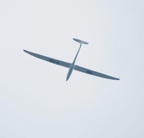 Glider-D-7195-02