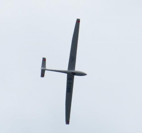 Glider-D-7388-02