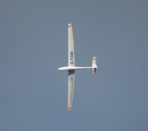 Glider-D-7388-05