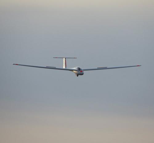 Glider-D-7388-12