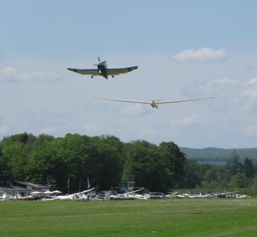 Glider-D-7437-01