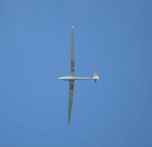 Glider-D-7437-04