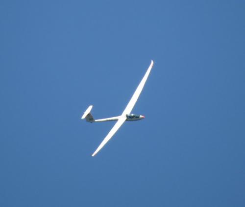 Glider-D-7437-05
