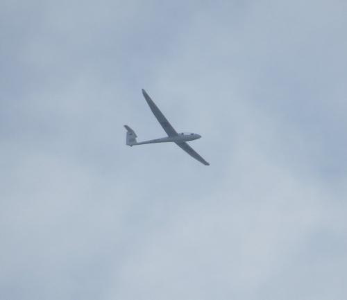 Glider-D-7477-01