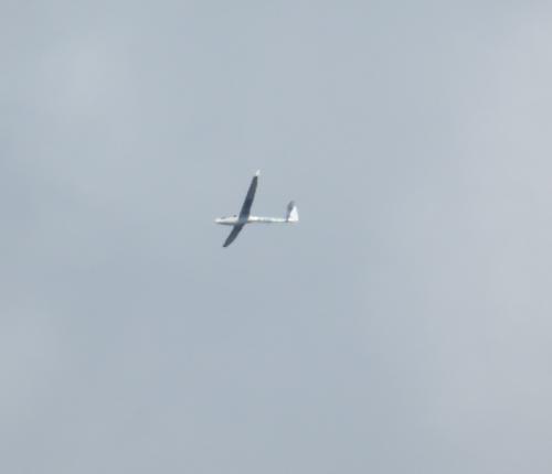 Glider-D-7488-01