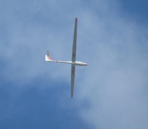Glider-D-7502-05