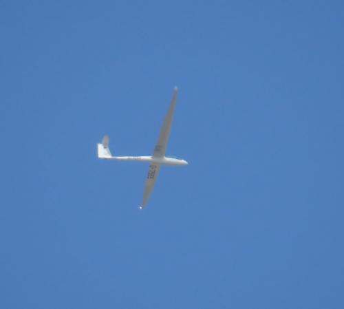 Glider-D-7555-01