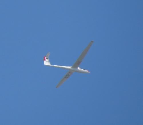 Glider-D-7606-01