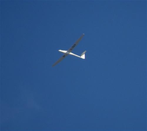 Glider-D-7619-01