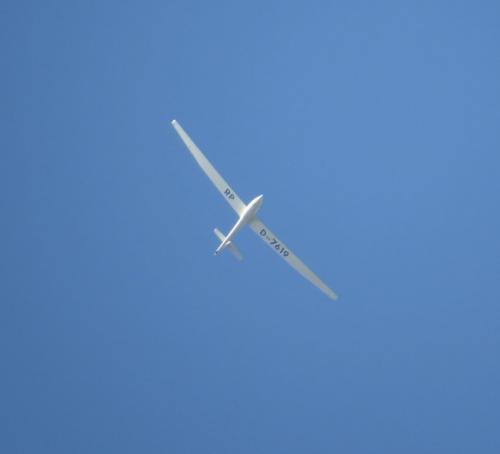 Glider-D-7619-02