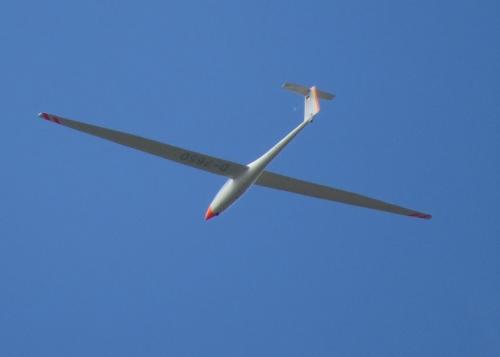 Glider-D-7650-01