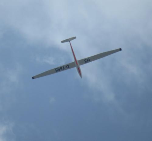Glider-D-7655-01