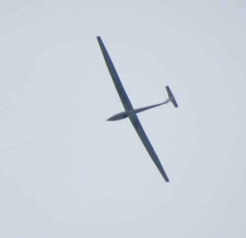 Glider-D-7679-02
