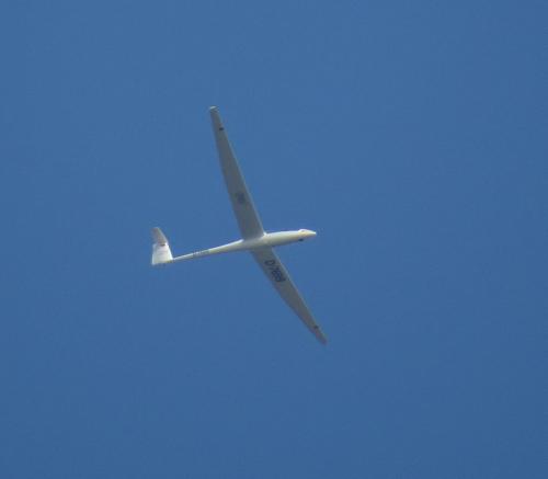 Glider-D-7699-01