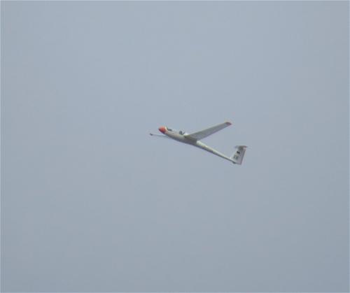 Glider-D-7734-02