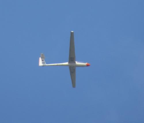 Glider-D-7734-03
