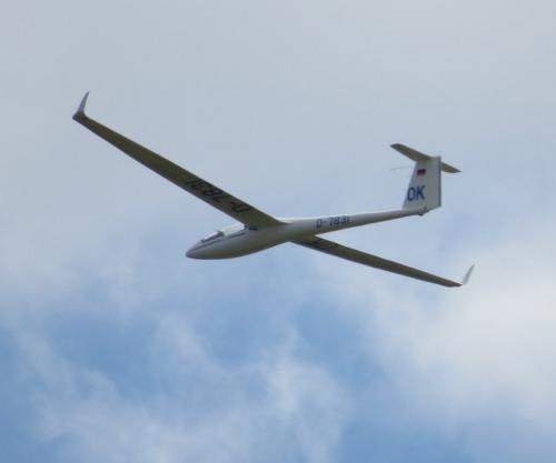 Glider-D-7831-01