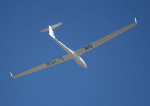 Glider-D-7831-02