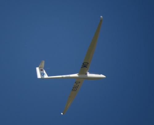 Glider-D-7831-03