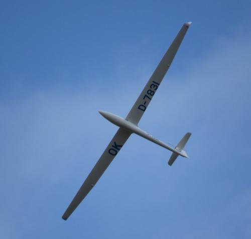 Glider-D-7831-04