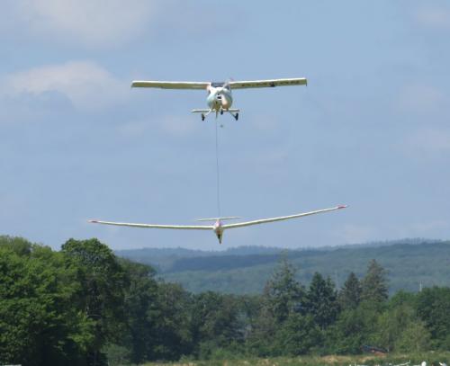 Glider-D-7919-01