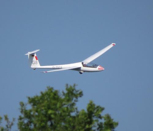 Glider-D-7919-04