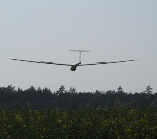 Glider-D-7919-07