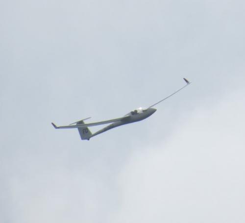 Glider-D-7952-01