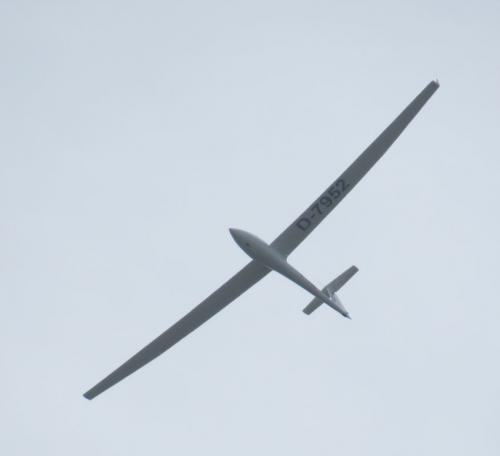 Glider-D-7952-02