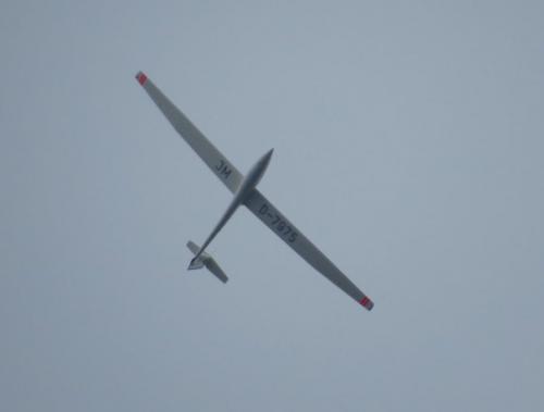 Glider-D-7975-01