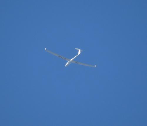 Glider-D-7976-01