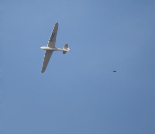 Glider-D-8002-02