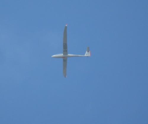 Glider-D-8052-02