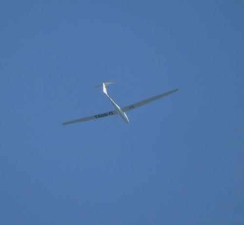Glider-D-8093-01
